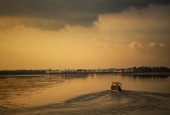 IIP Online Student Photography